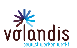 logo volandis