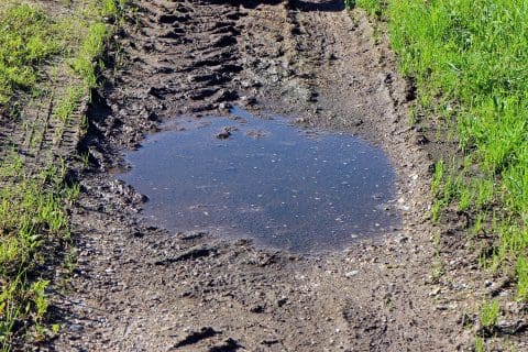 Sporen modder